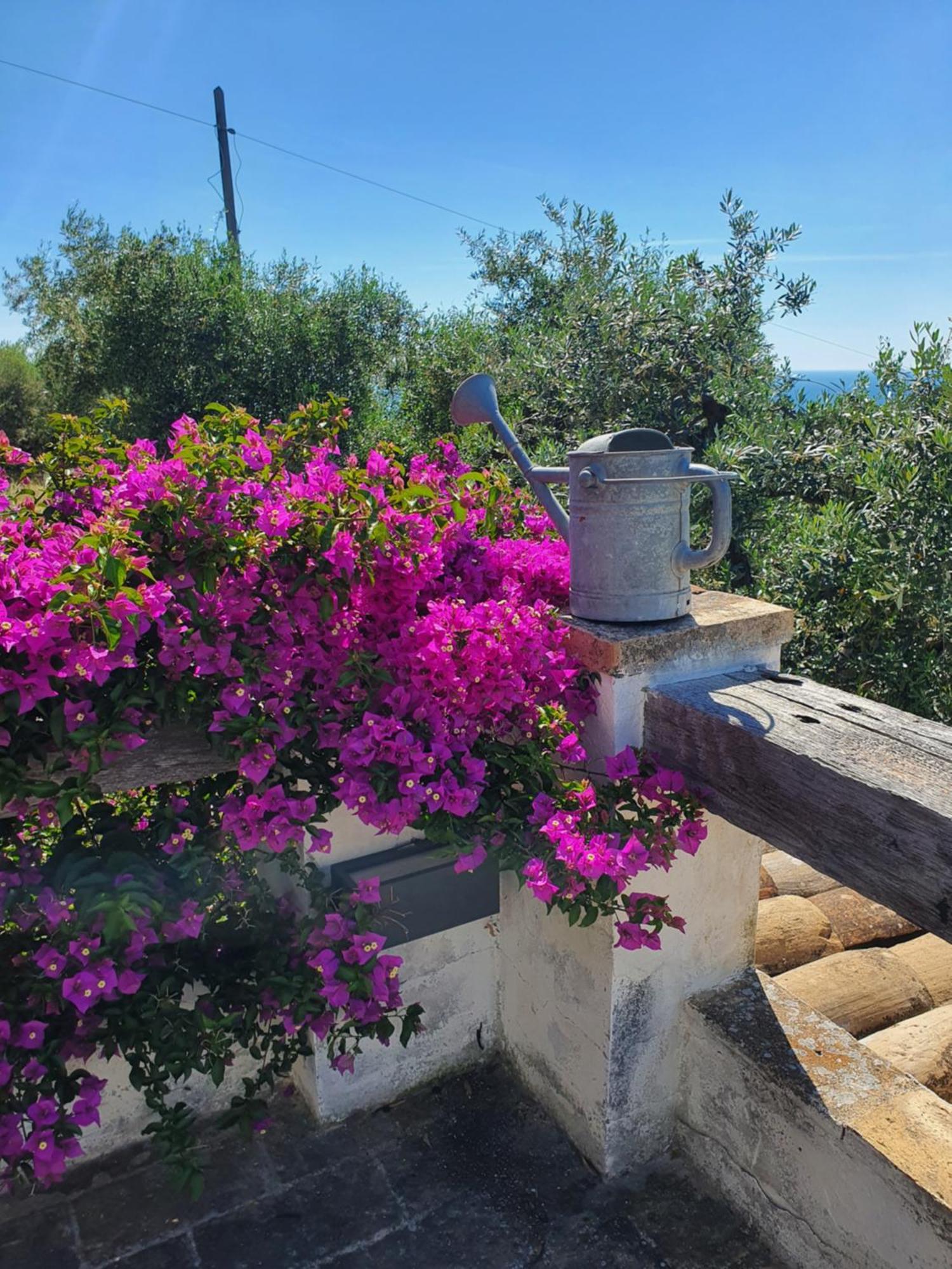 Agriturismo Mondomini Campofilone Εξωτερικό φωτογραφία