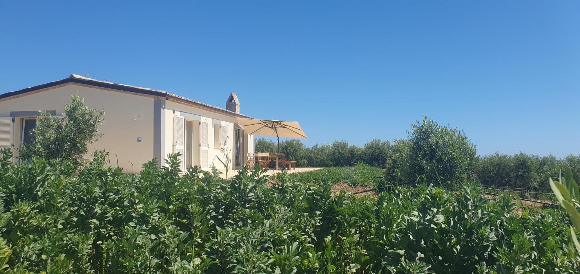 Agriturismo Mondomini Campofilone Εξωτερικό φωτογραφία